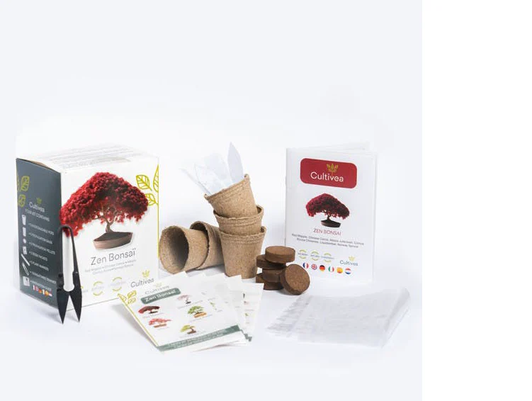 Bonsai Grow Kit | Zen bonsai - Image 3