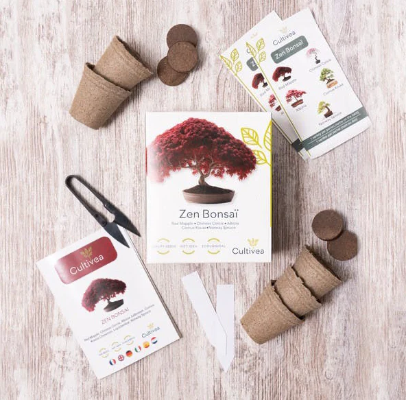 Bonsai Grow Kit | Zen bonsai - Image 5