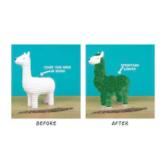 Green Lama - with Chia Seeds - Image 4