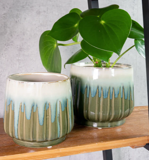 Pot Alice ocean - Image 3