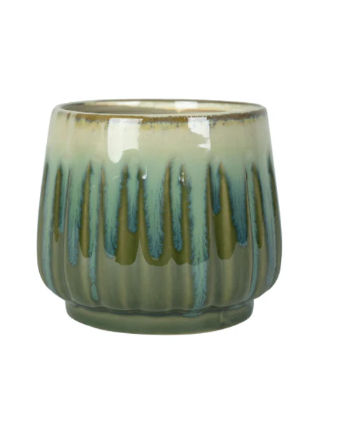 Pot Alice ocean - Image 4