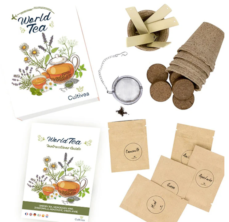 Tea Grow Kit - Image 2