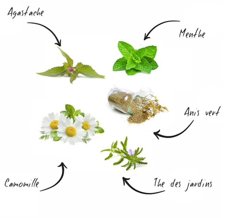 Tea Grow Kit - Image 3