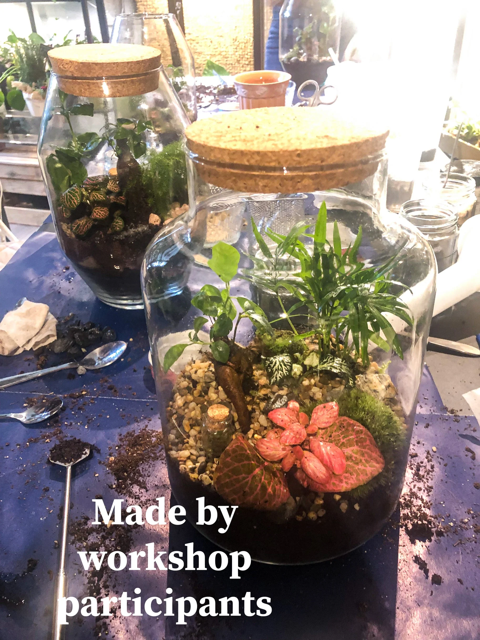 27 June | Amsterdam Terrarium Workshop | 19:00 (Saturday) - Image 3